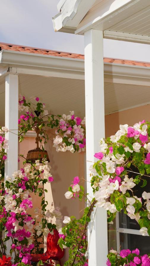 Yelken Bungalov Bed & Breakfast Milas Luaran gambar