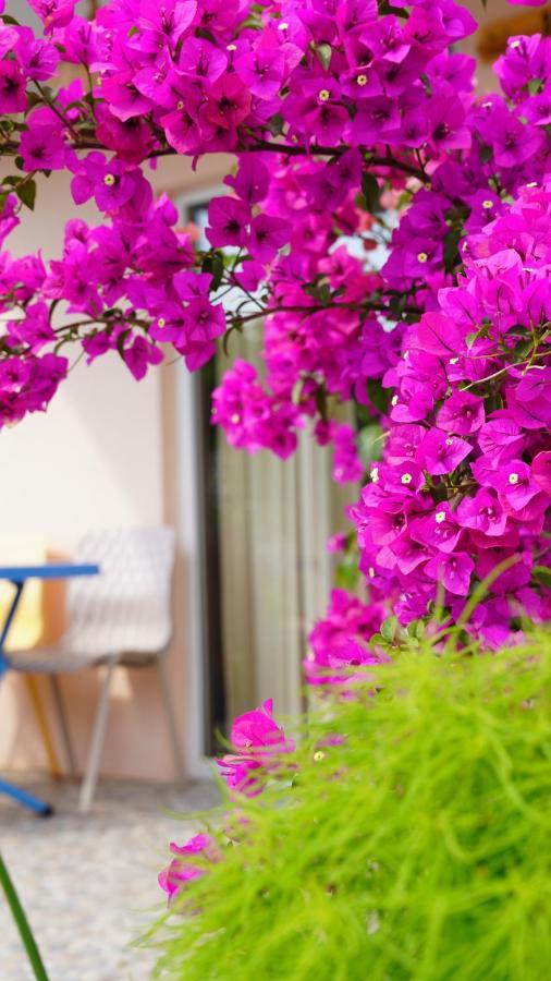 Yelken Bungalov Bed & Breakfast Milas Luaran gambar